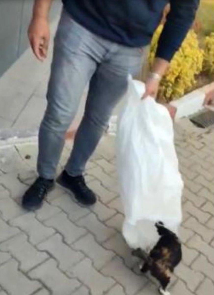 Bilecik'te bahçedeki kedileri çuvallara koyarak topladılar