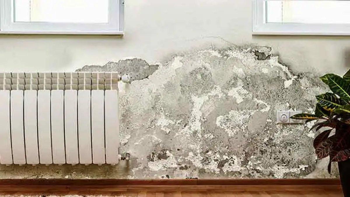 Sadece bir fısla rutubetten kurtulun! İşte o mucizevi 3 malzeme...