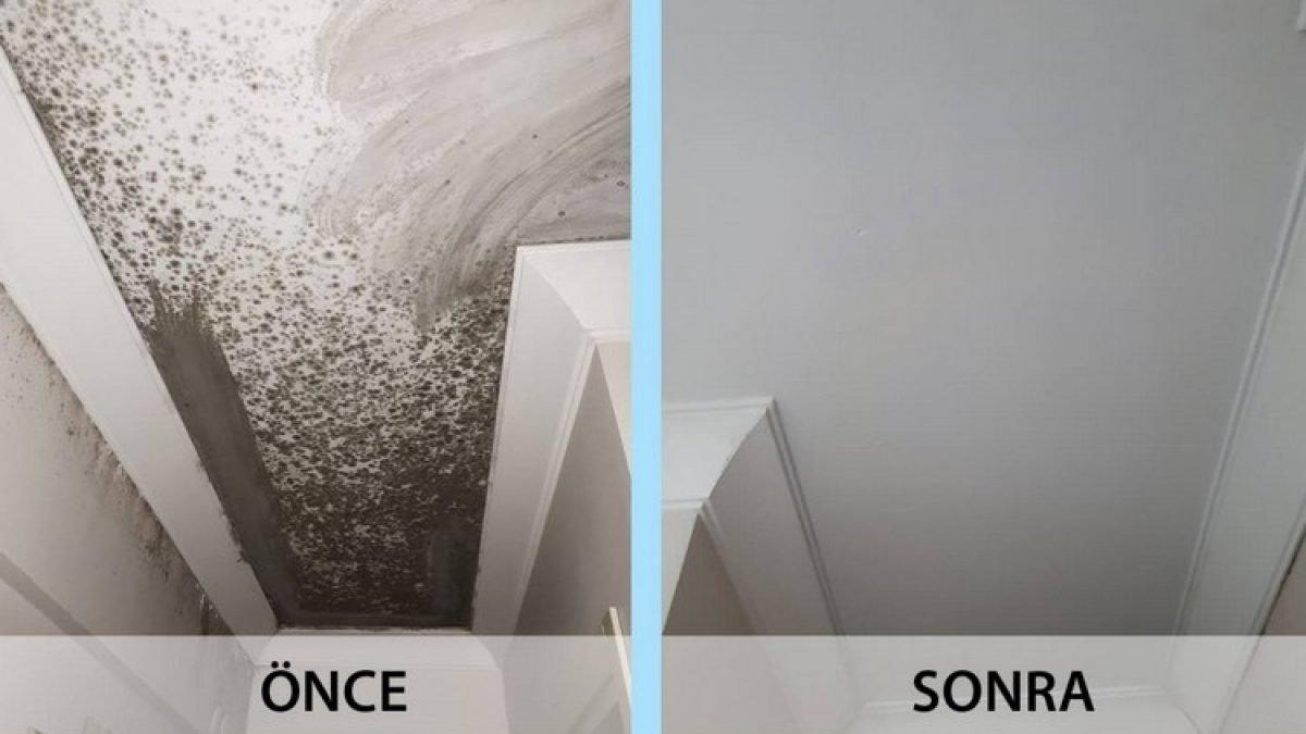 Sadece bir fısla rutubetten kurtulun! İşte o mucizevi 3 malzeme...