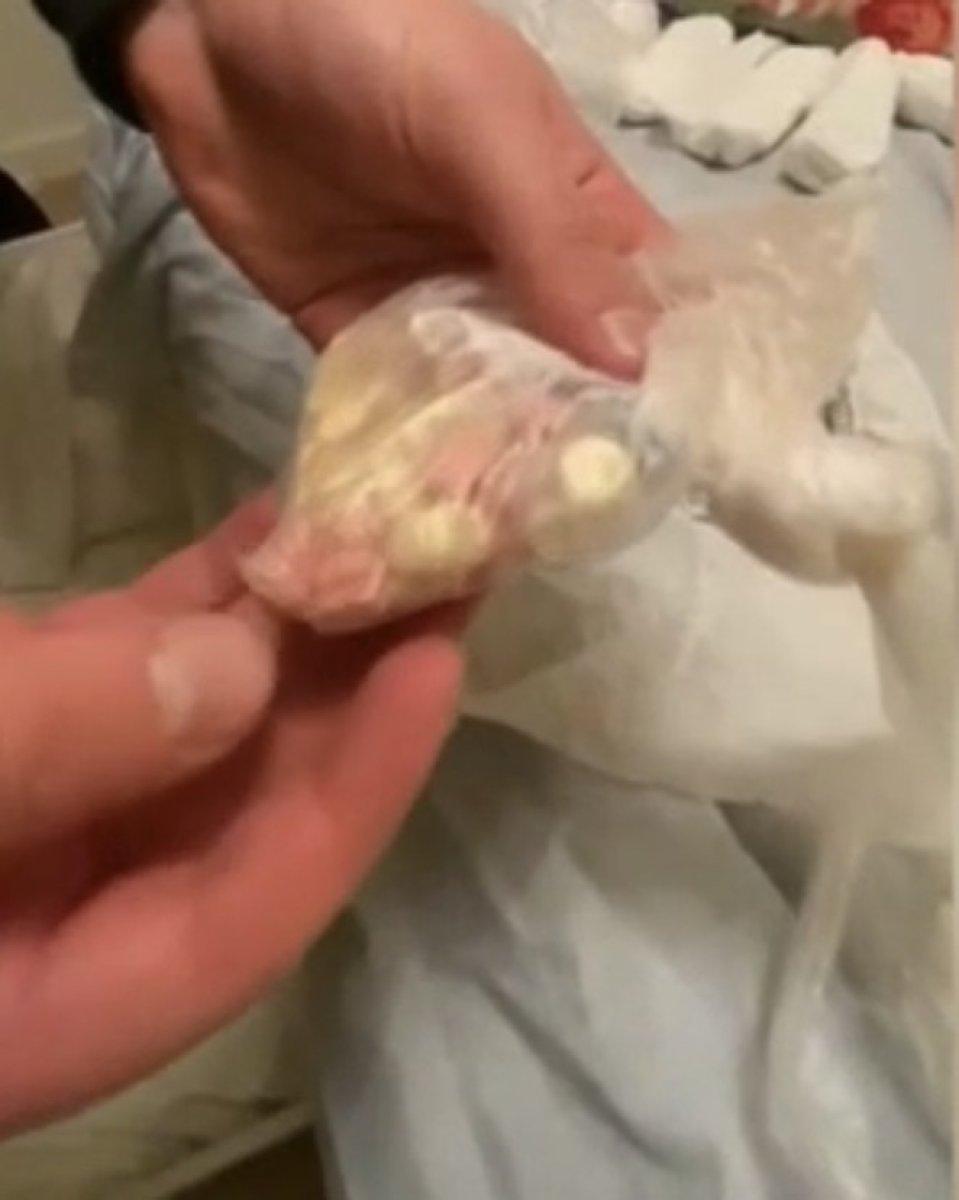 İstanbul'da yunus ekipleri yarım milyon liralık kokain ele geçirildi