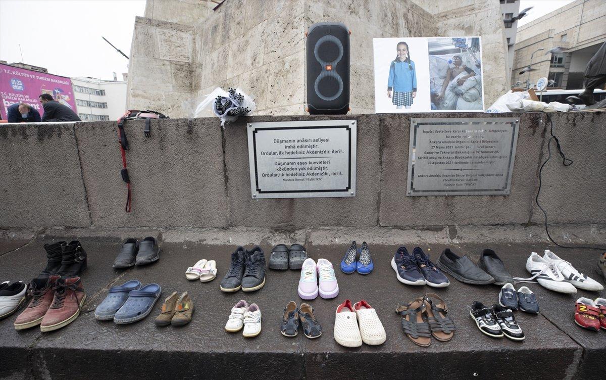 Ankara'da başıboş sokak köpeği protestosu