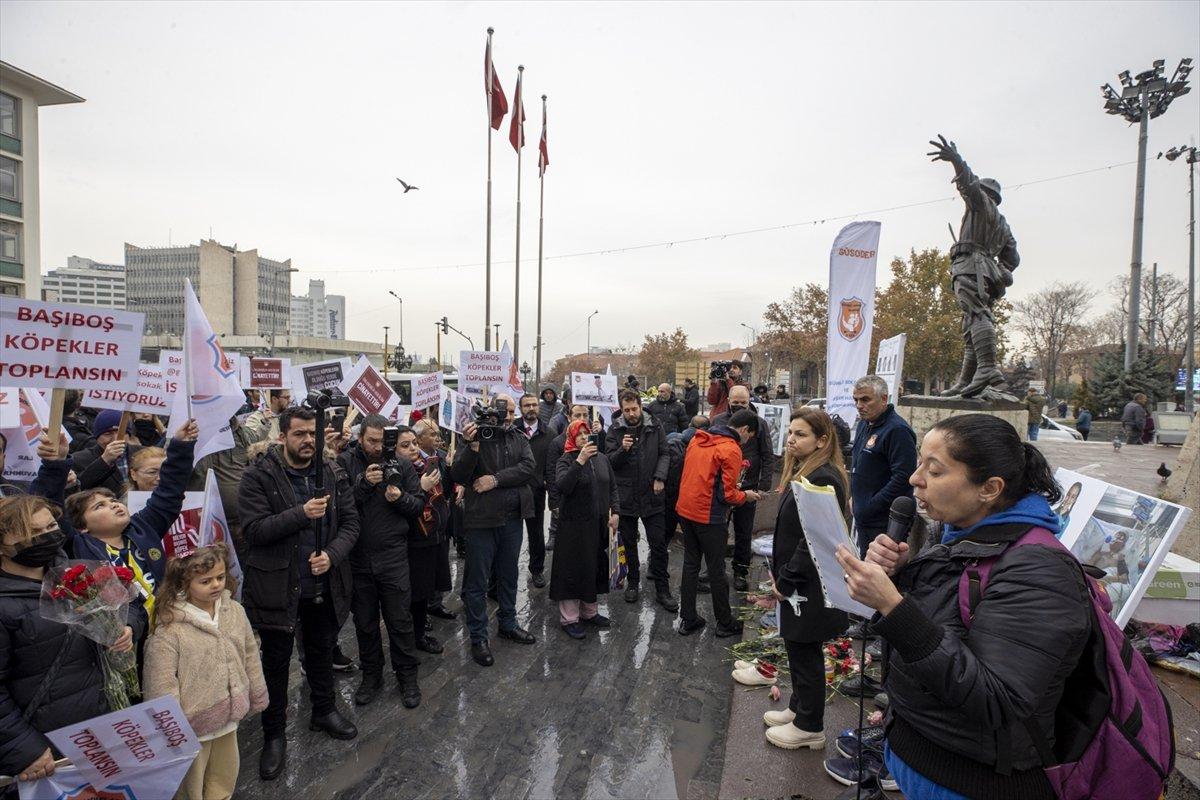 Ankara'da başıboş sokak köpeği protestosu