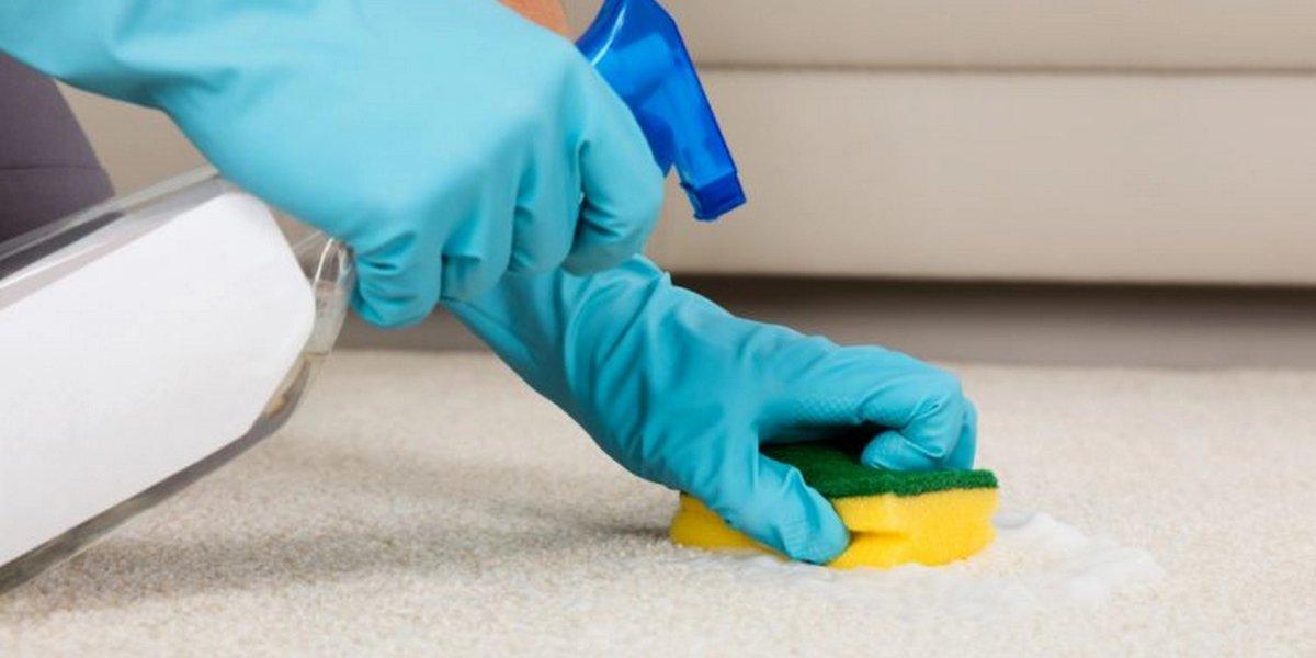 Halıdaki inatçı lekelere son! Bu yöntem tek seferde çıkarıyor... Halılarınız yeni gibi olacak!