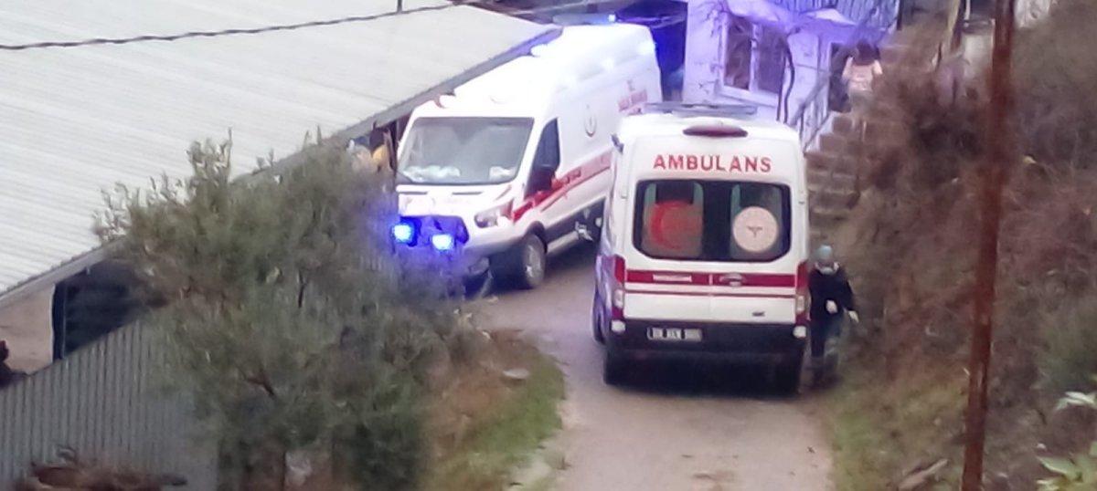 Aydın'da virajı alamayan araç, uçurumdan düştü  