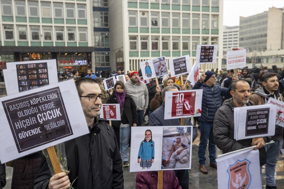 Ankara'da başıboş sokak köpeği protestosu