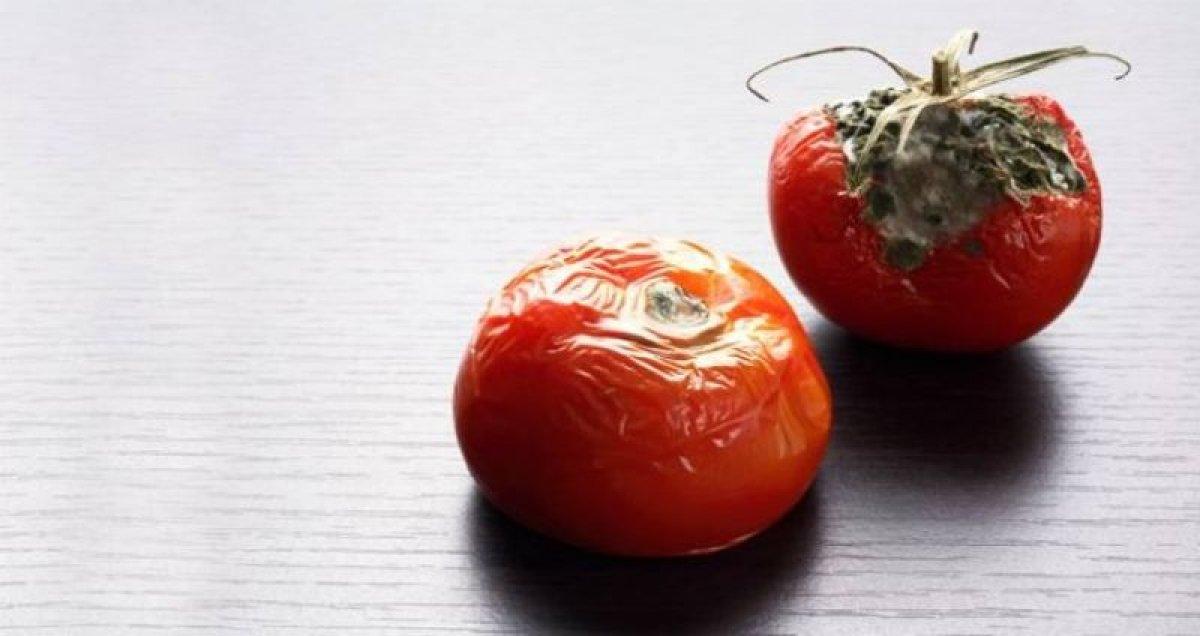 Çürük domatesleri sakın çöpe atmayın! Ne işe yaradığını öğrenince çok şaşıracaksınız...