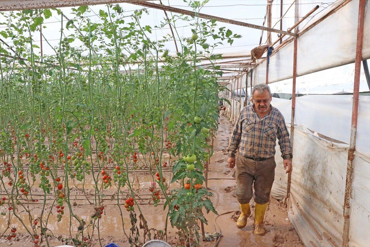 Kumluca'da sel domates seralarını vurdu 