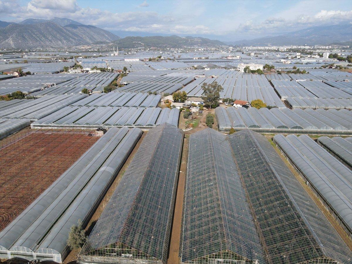 Kumluca'da sel domates seralarını vurdu 