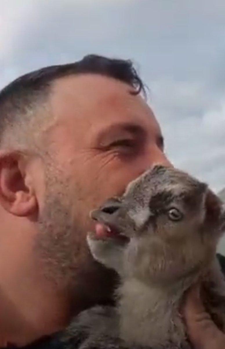 Karadenizli vatandaşın yavru keçiye sevgisi 