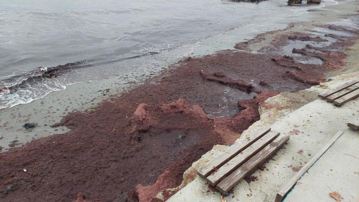 Tekirdağ sahili kırmızıya büründü