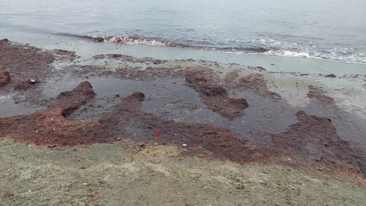 Tekirdağ sahili kırmızıya büründü