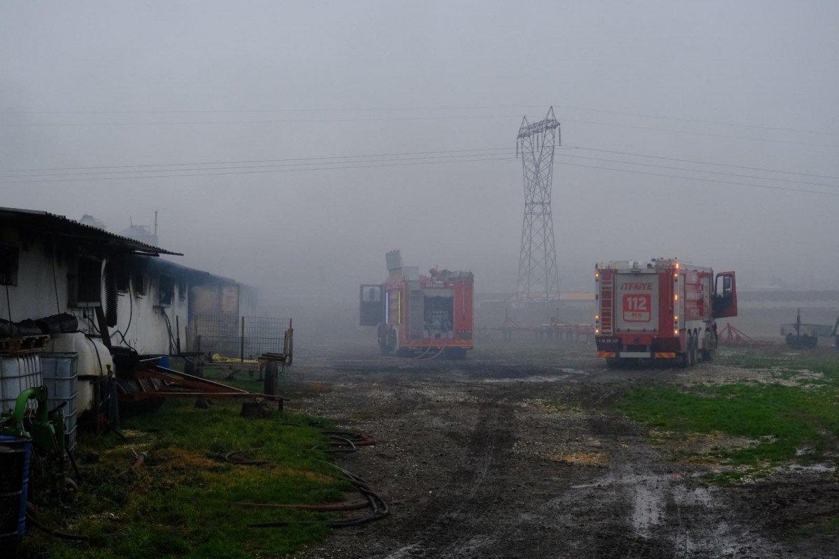 Eskişehir’de tavuk çiftliğindeki yangında 23 bin civciv öldü 