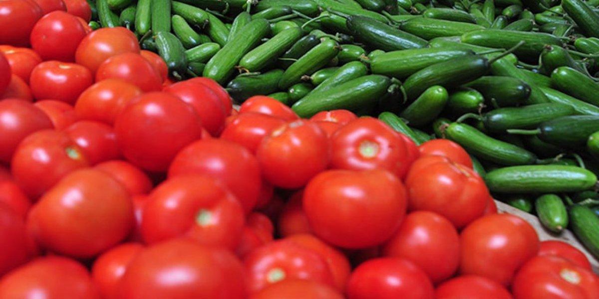 Bunu asla yapmayın! Uzmanlardan korkutan uyarı: Domates ve salatalığı birlikte yerseniz…