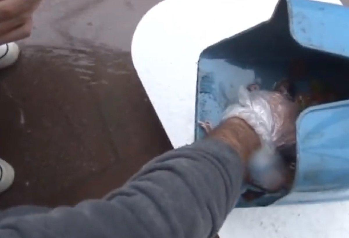 İzmir'de yağıştan etkilenerek telef olan lağım faresine gözyaşı döktü