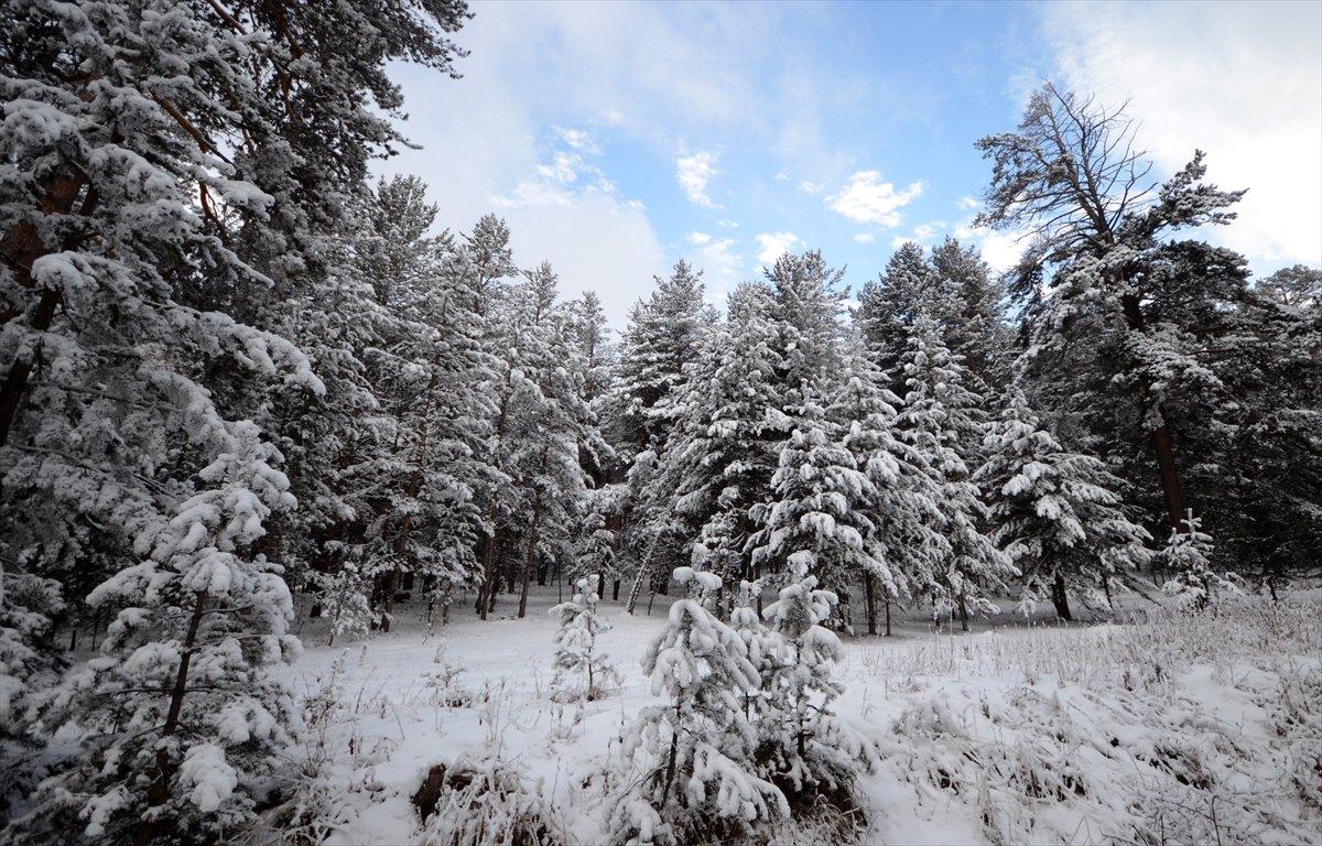 Doğu Anadolu'da soğuk hava
