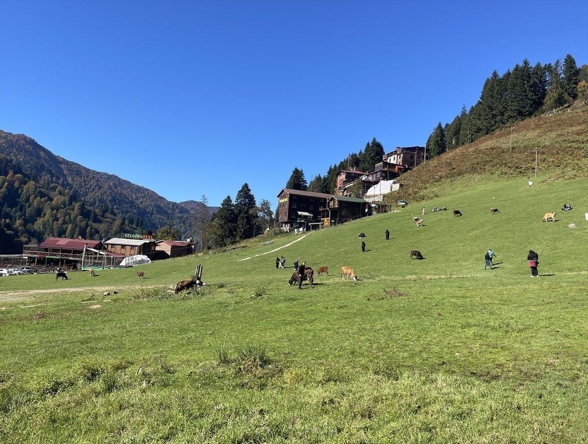 Ayder Yaylası'nın koruma statüsü değiştirildi