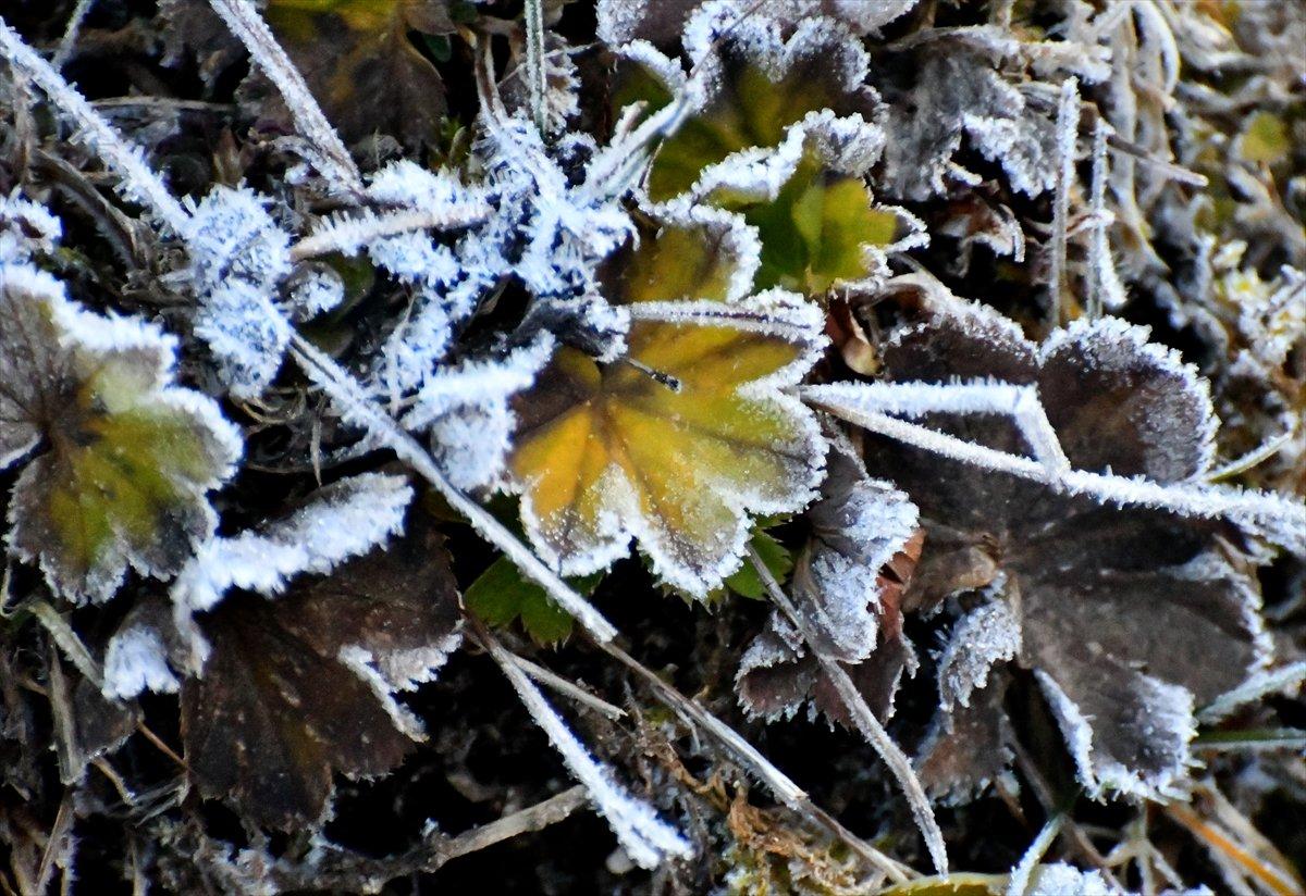 Doğu Anadolu'da soğuk hava