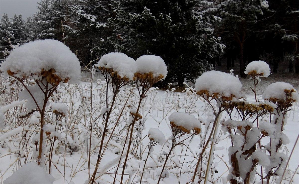 Doğu Anadolu'da soğuk hava