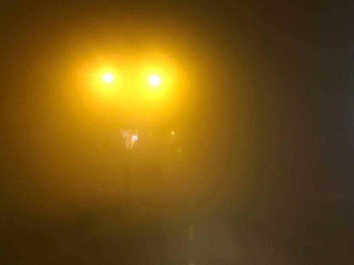 Iğdır'da sis sürücülere zor anlar yaşattı