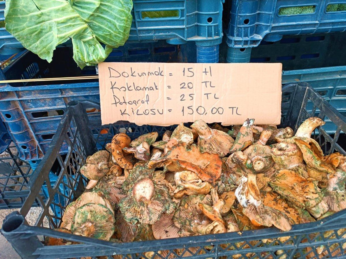 Denizli'de çıntar satan esnafın dikkat çeken fiyat etiketi 