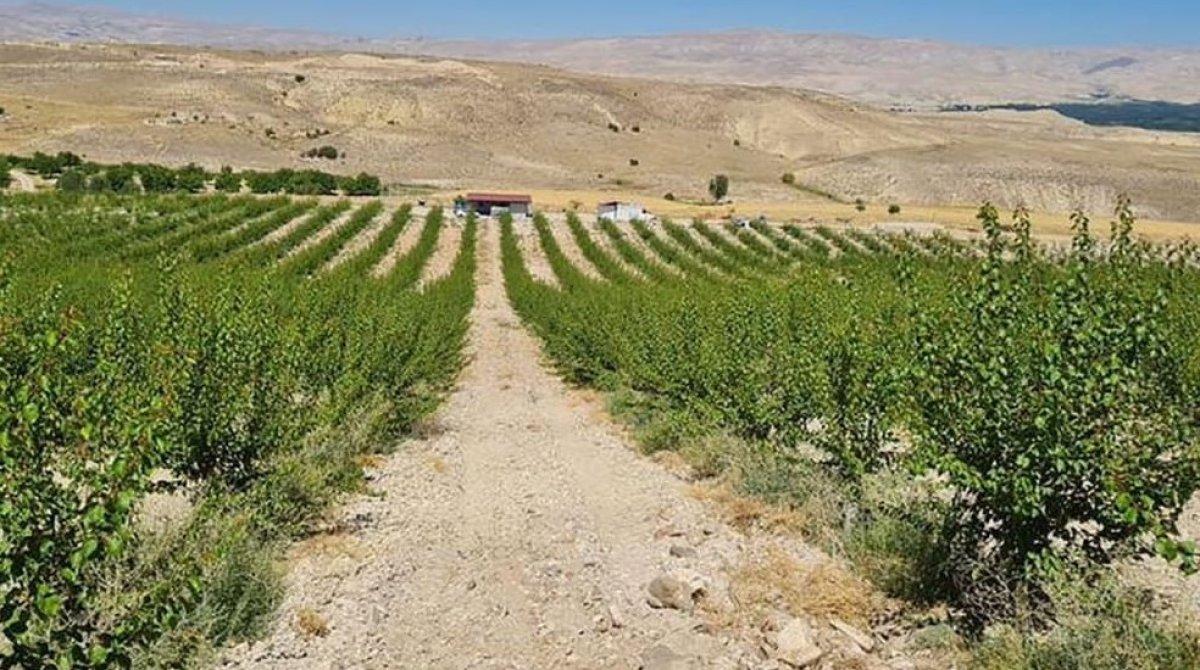 Almanya’nın loto milyoneri Kürşat, Malatya’da arsa satın aldı