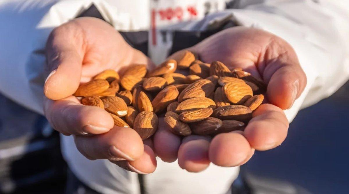 Almanya’nın loto milyoneri Kürşat, Malatya’da arsa satın aldı