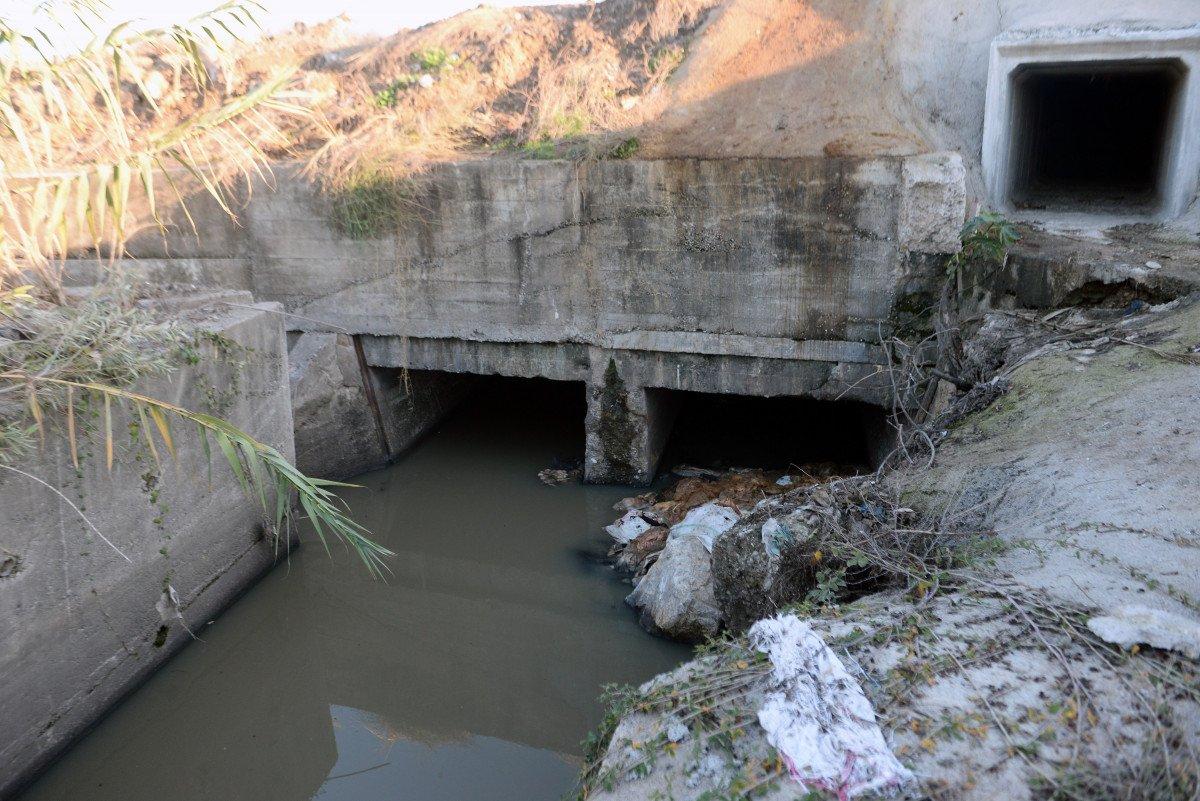 Adana’da, dere yatağında eşek başları ve kemikleri bulundu