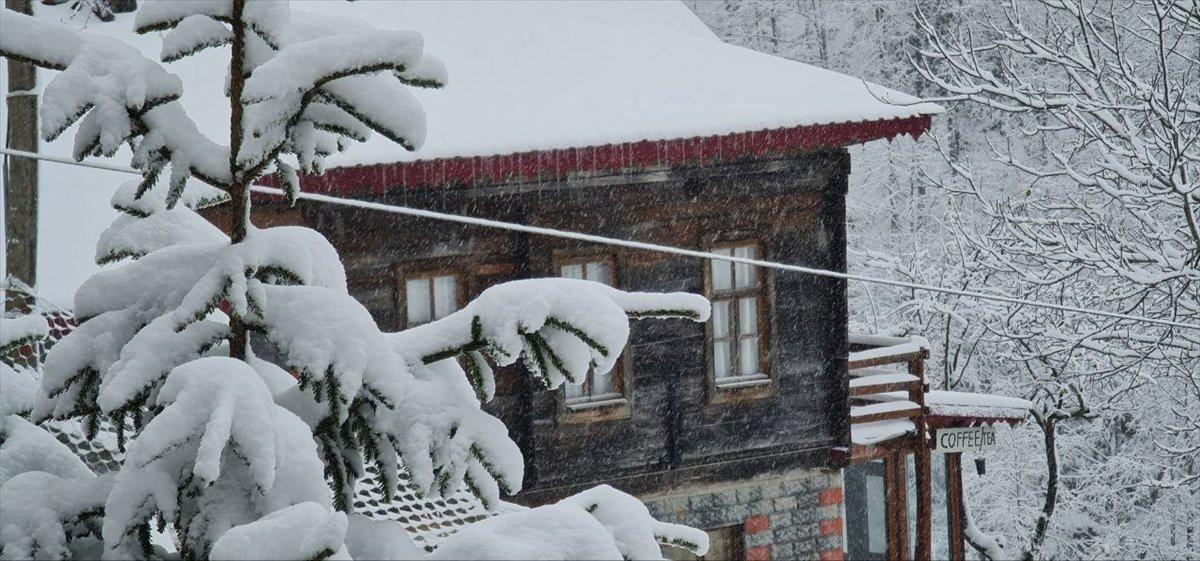 Doğu Karadeniz'in yüksek kesimleri beyaza büründü