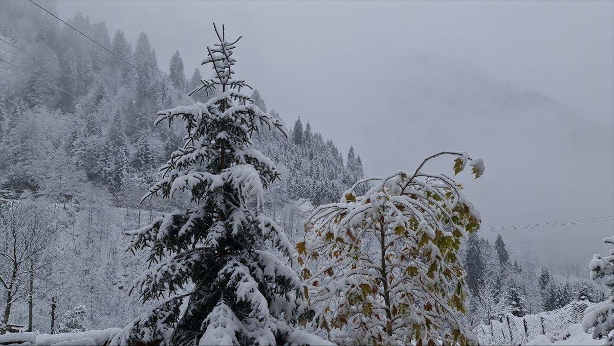 Doğu Karadeniz'in yüksek kesimleri beyaza büründü