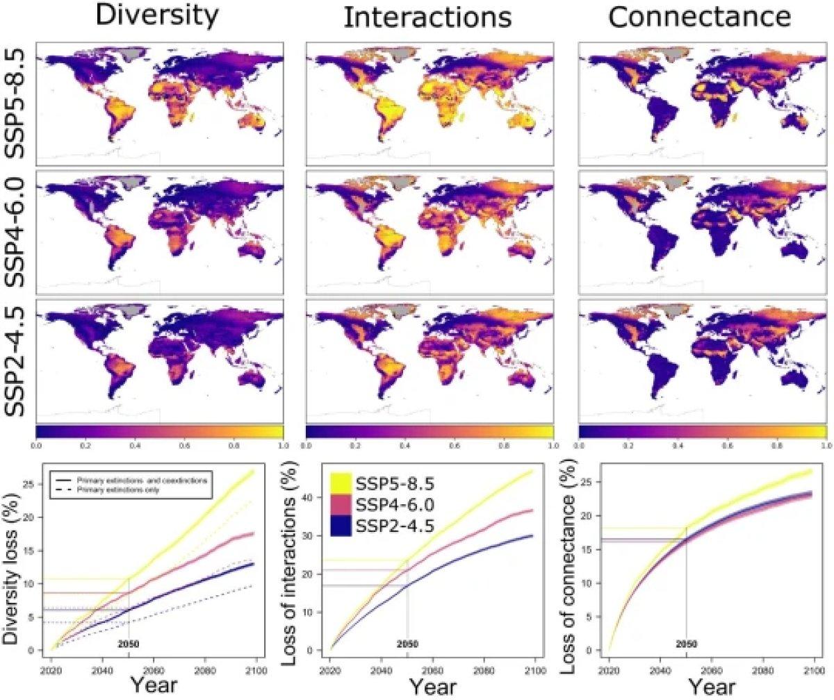 Süper bilgisayarın tahmini: 2100'de Dünya türlerinin dörtte biri yok olacak