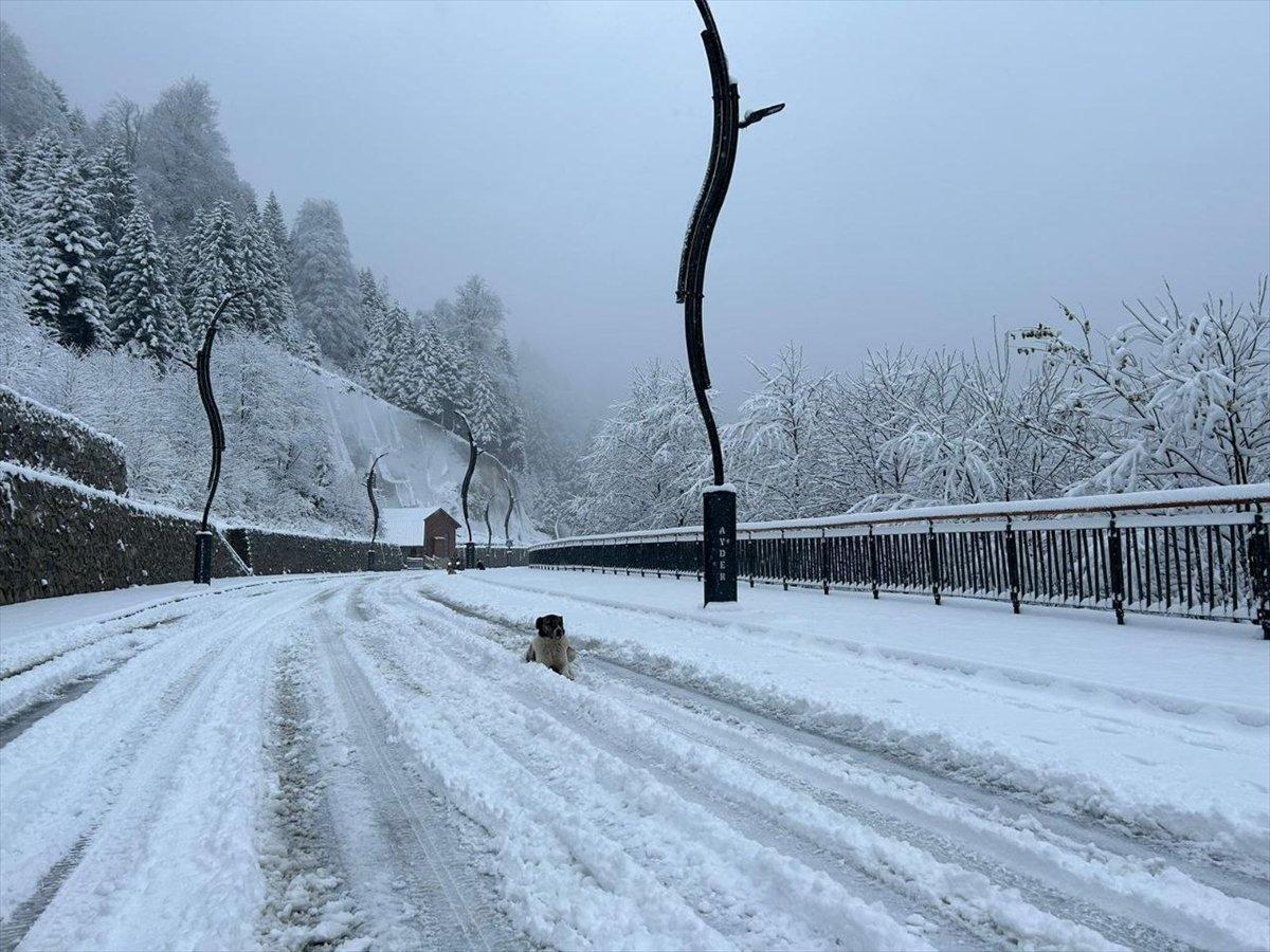 Doğu Karadeniz'in yüksek kesimleri beyaza büründü