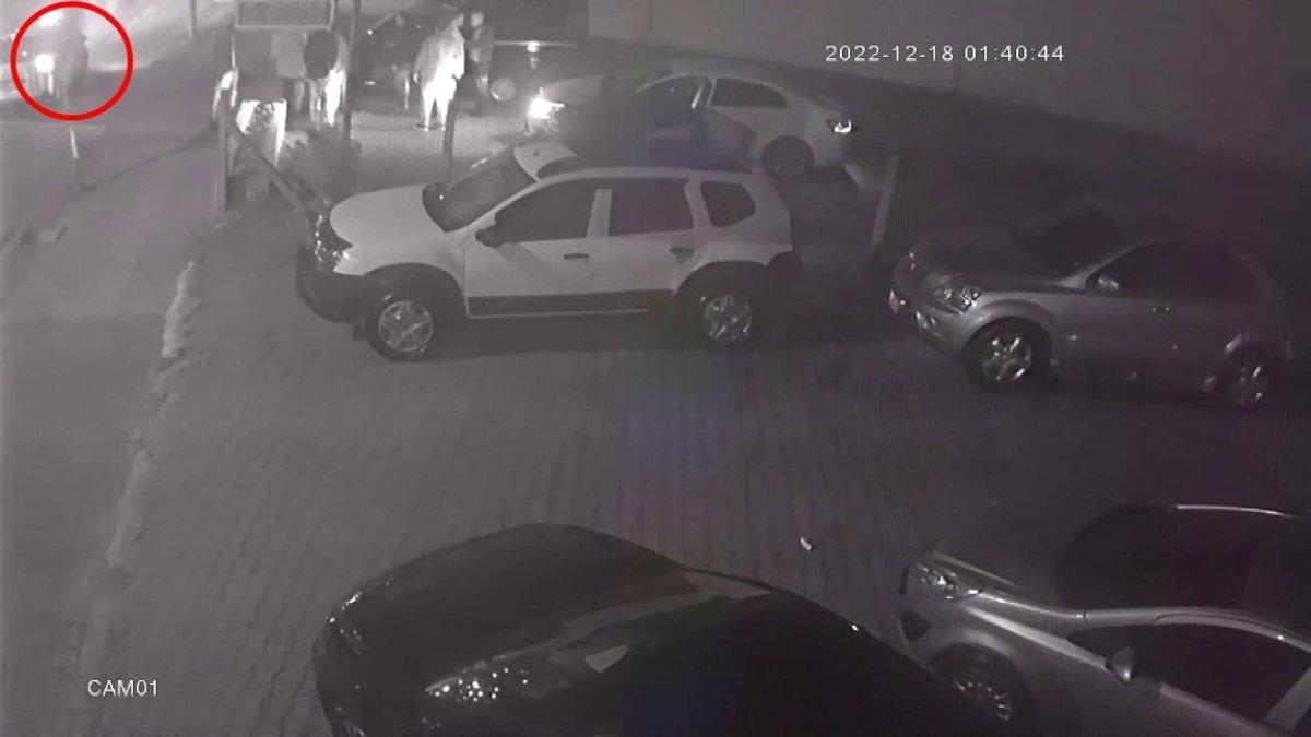 Sakarya’da kendi galerilerinin önünde ölesiye darbedildiler