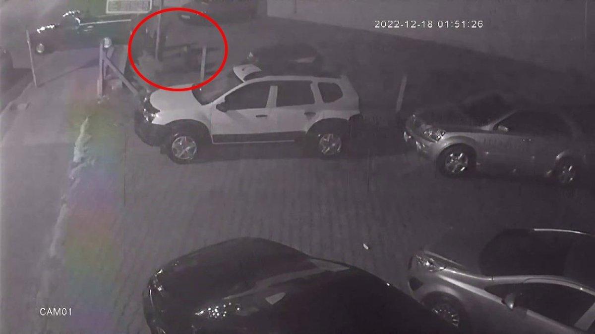 Sakarya’da kendi galerilerinin önünde ölesiye darbedildiler