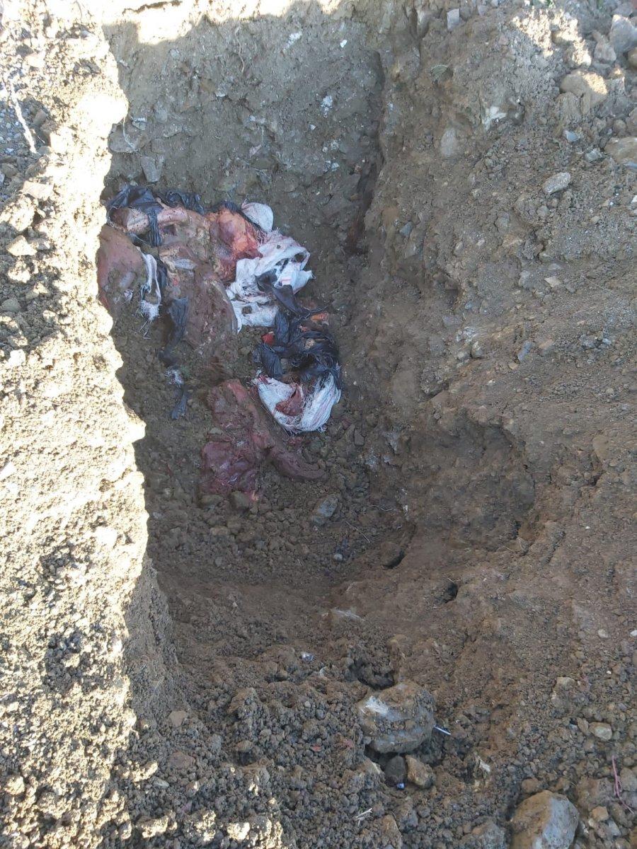 Sultangazi’de 2 kişi, at keserken yakalandı