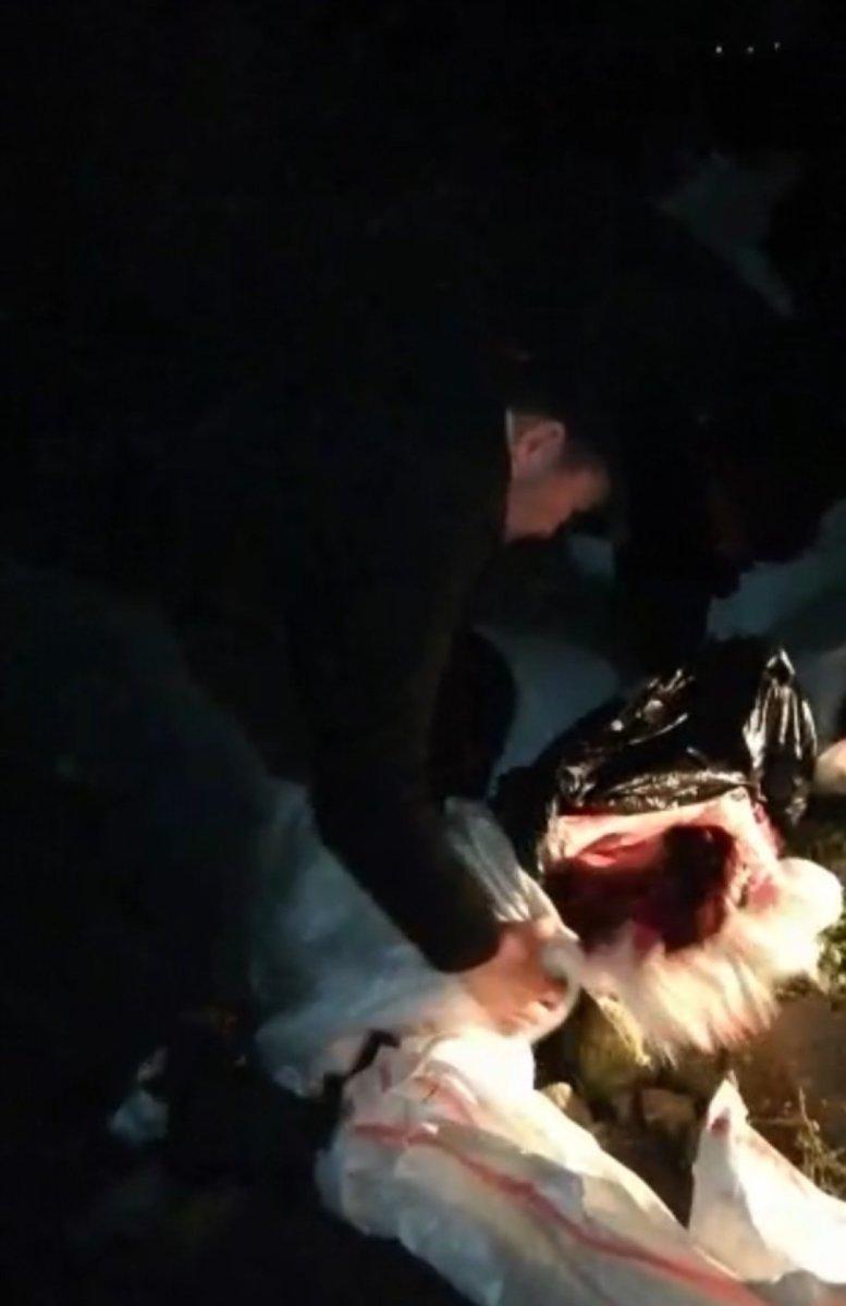 Sultangazi’de 2 kişi, at keserken yakalandı