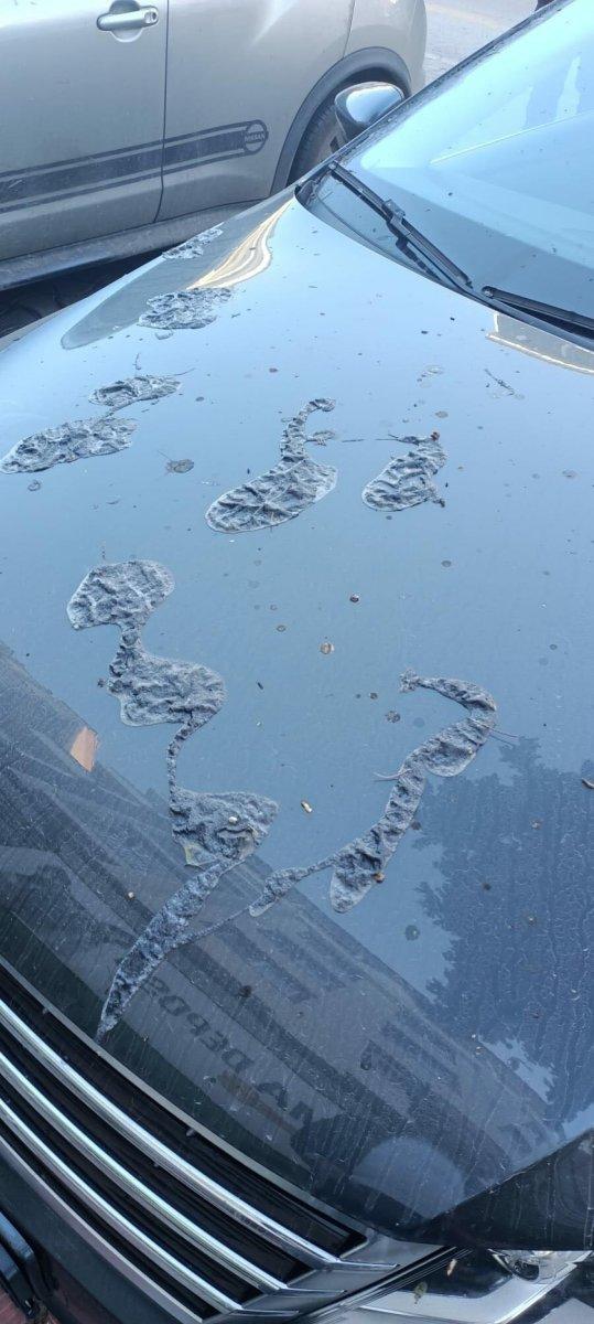 Aydın’da, zabıta müdürünün otomobiline boya sökücü döküldü