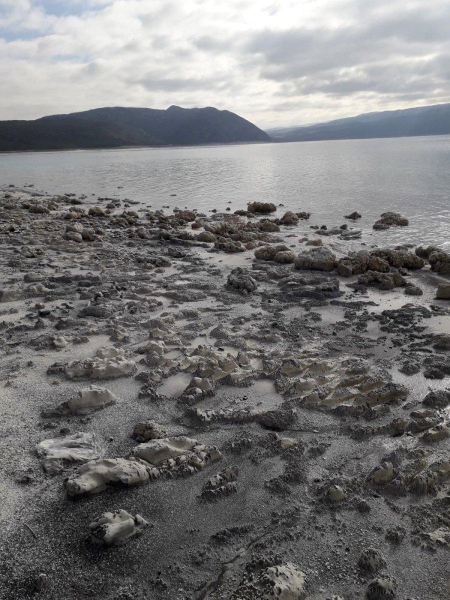 'Salda Gölü kumsalındaki kararma yayılıyor' iddiası 