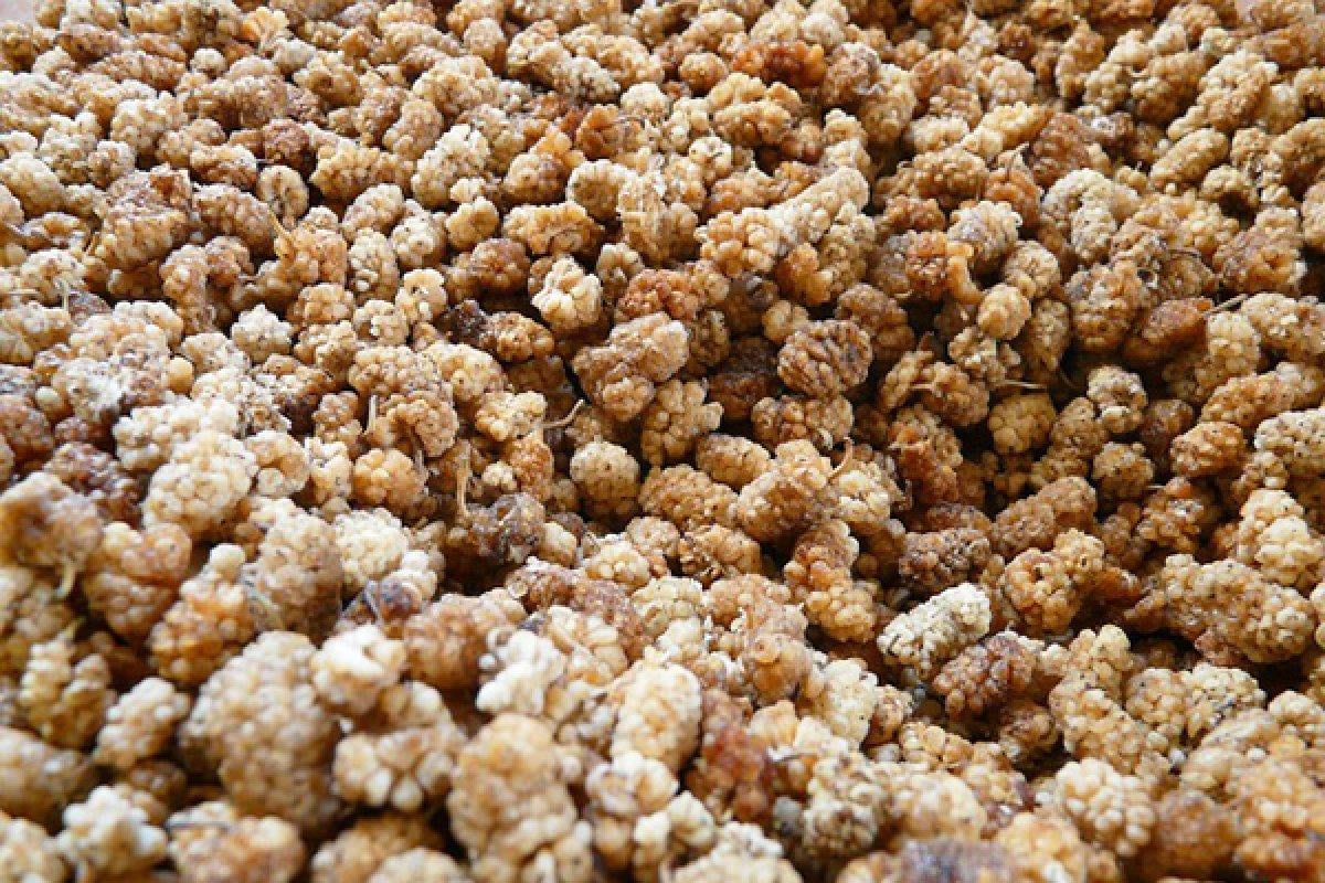 Kandaki CRP (iltihap) değerini düşüren 6 gıda