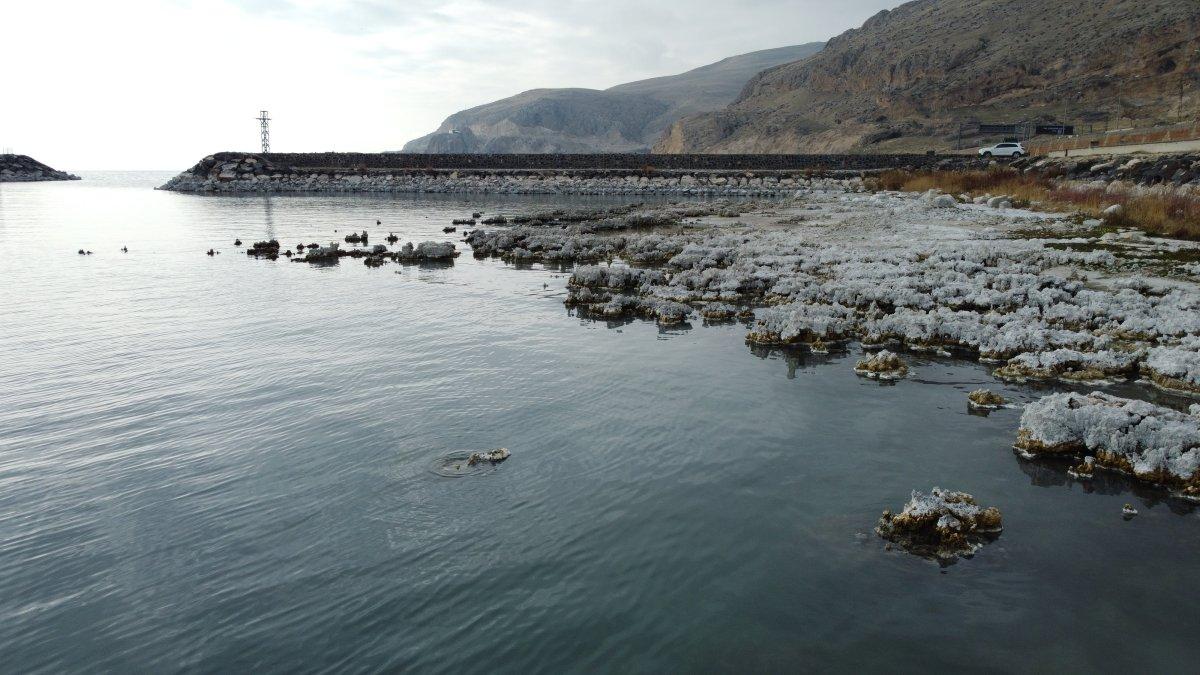 Bitlis'te kuraklık sonrasında mikrobiyalitler gün yüzüne çıktı