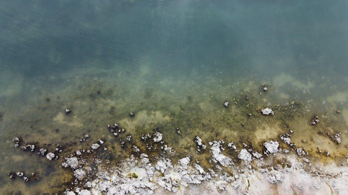 Bitlis'te kuraklık sonrasında mikrobiyalitler gün yüzüne çıktı