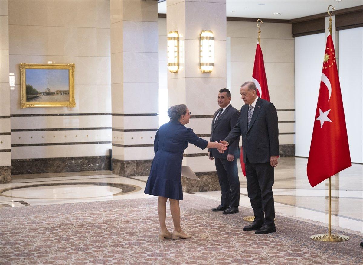 İsrailli elçi Lillian, Cumhurbaşkanı Erdoğan'a güven mektubu sundu