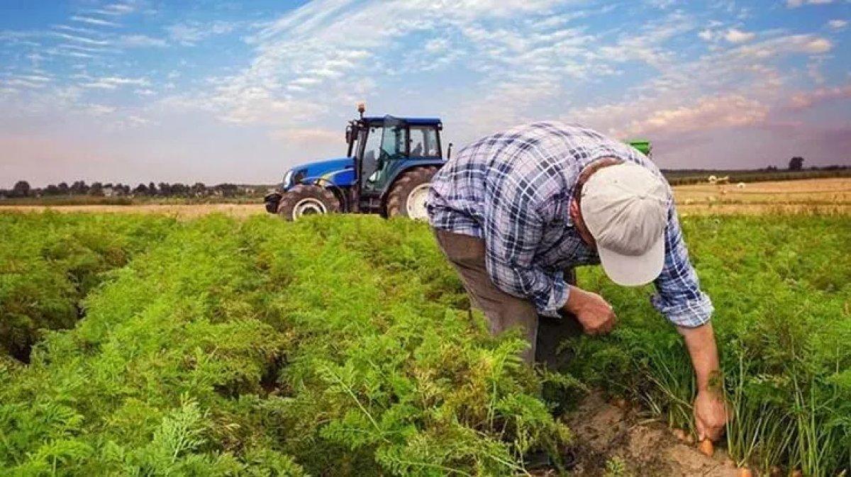 Çiftçilere müjde! Tarımsal destek ödemeleri yattı mı? Mazot ve gübre desteği ne kadar?