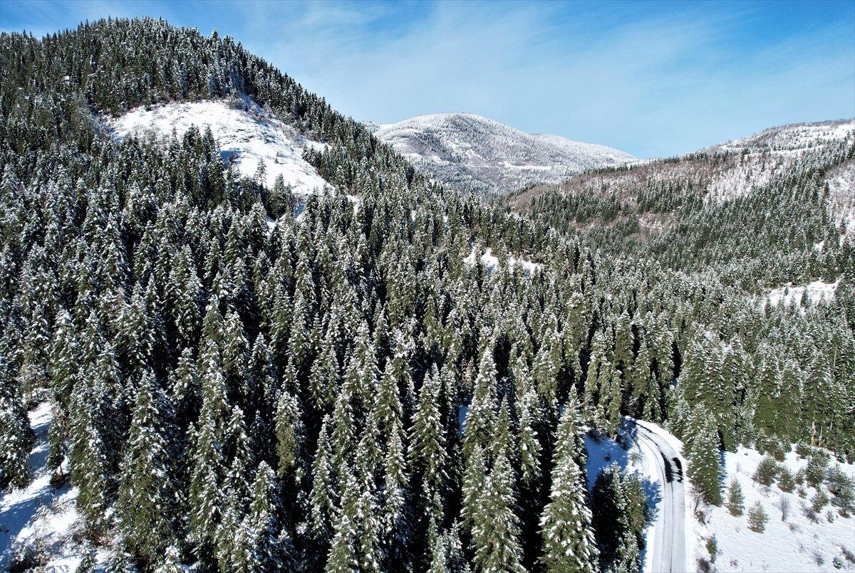 Kastamonu'da karla kaplanan Yaralıgöz Dağı kamerada