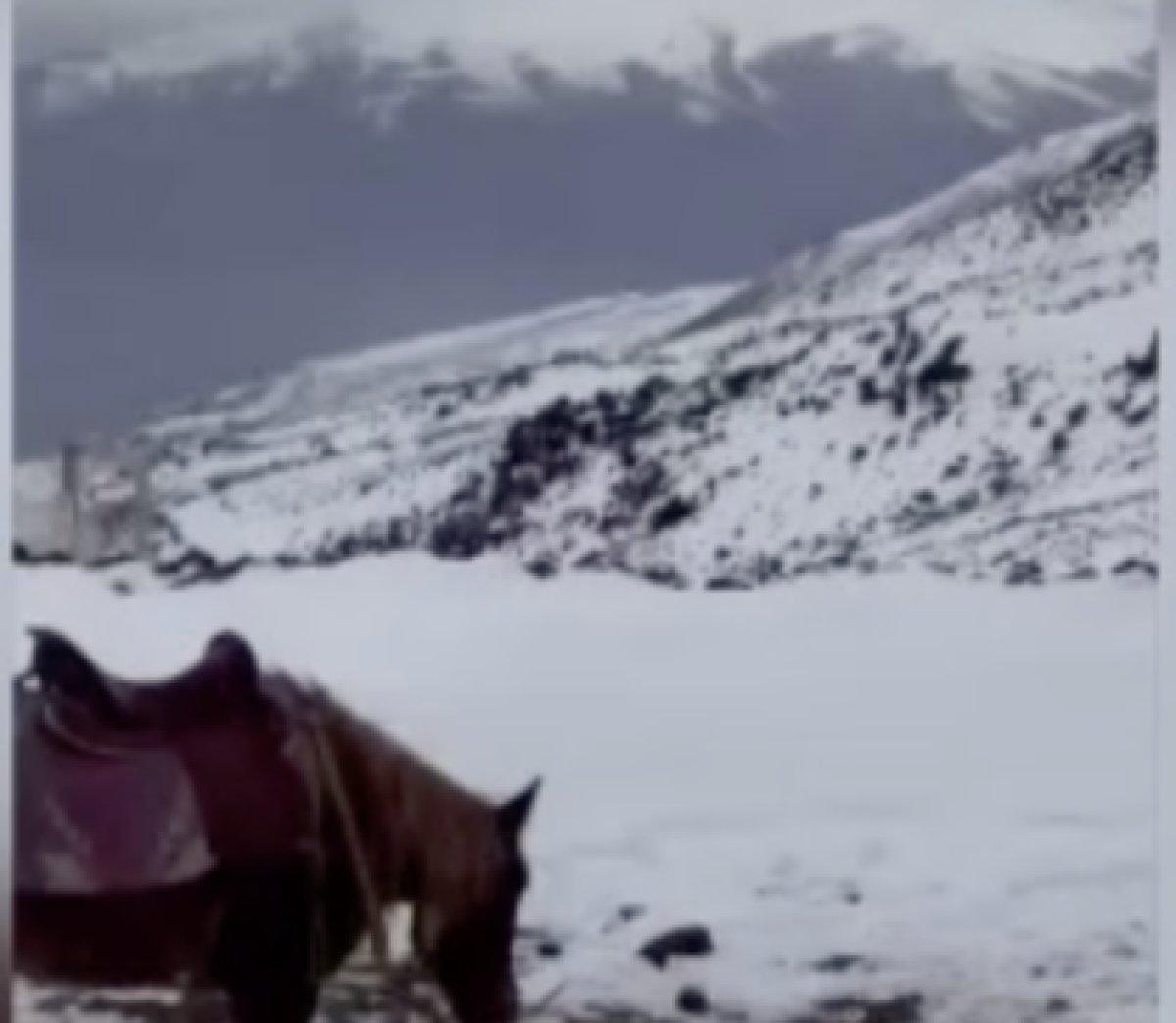 Almanya'dan gelen dağcı 1 haftada Ağrı Dağı'na tırmanabildi